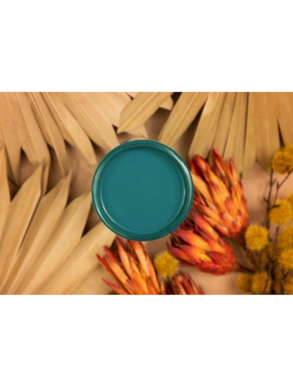 New Sealed Oasis Dixie Belle Silk All-in-One Mineral Paint 16oz